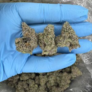 Bubblegum Runtz-D159