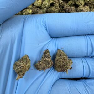 Blue Nerds Smalls #5892