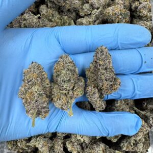 GRAPE CHERRY GELATO #5998